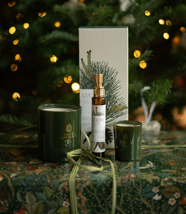 ARÔMES BOISÉS POUR FÊTES ENCHANTÉES 